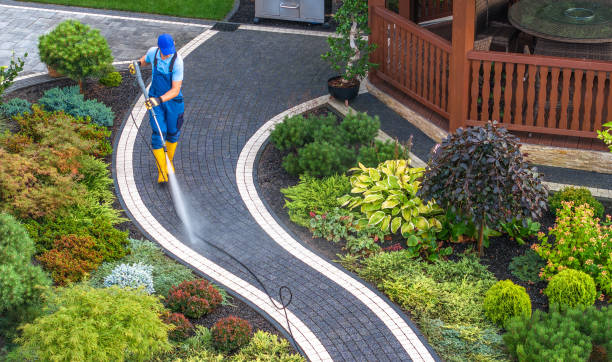 Why Choose Our Certified Pressure Washing Experts for Your Project Needs in Palisade, CO?