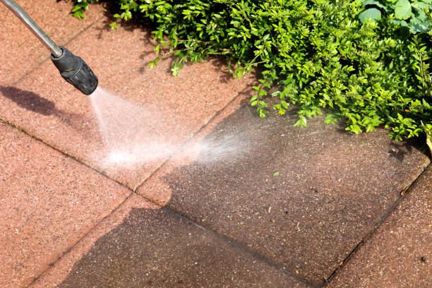 Best Local Pressure Washing Services  in Palisade, CO